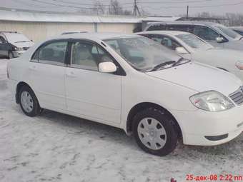 2002 Toyota Corolla Photos