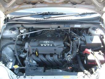 2002 Toyota Corolla Pictures