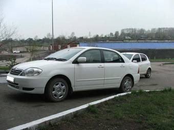 2002 Toyota Corolla Pictures