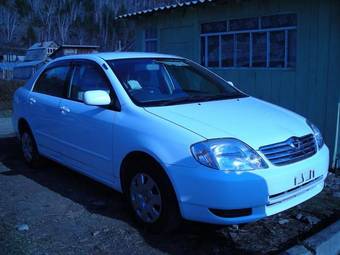 2002 Toyota Corolla Pictures