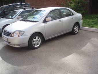 2002 Toyota Corolla Pics