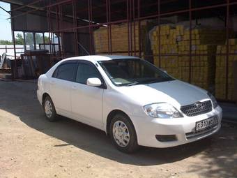 2002 Toyota Corolla Pictures