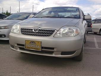 2002 Toyota Corolla Pictures