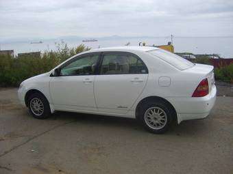 2002 Toyota Corolla Pictures