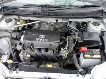 2003 Corolla