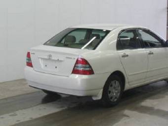 Corolla