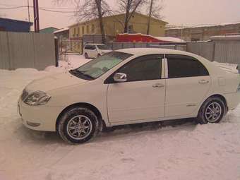 2003 Corolla