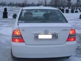 2003 Corolla