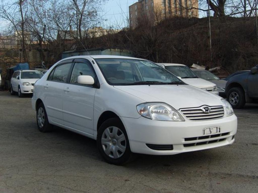 2003 Toyota Corolla