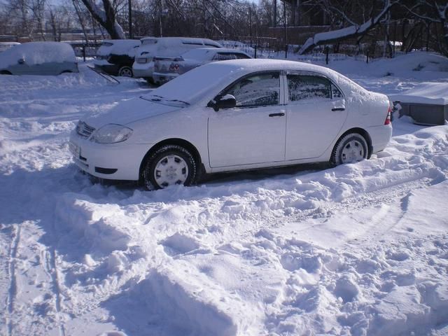 2003 Toyota Corolla