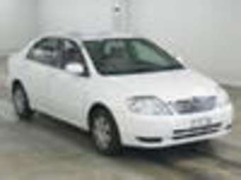 Corolla