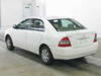 2003 Corolla