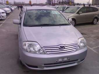 Corolla