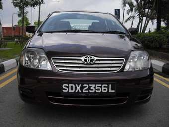2003 Corolla