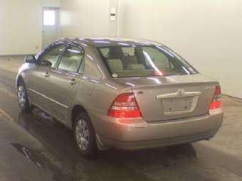 2003 Corolla