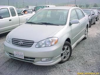 2003 Toyota Corolla Pictures