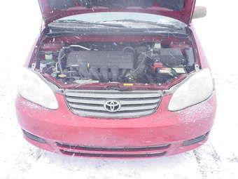 2003 Toyota Corolla Photos