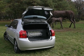 2003 Toyota Corolla Photos
