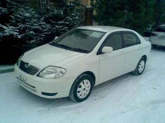 2003 Toyota Corolla For Sale