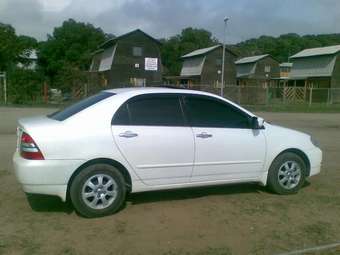 2003 Toyota Corolla Pictures
