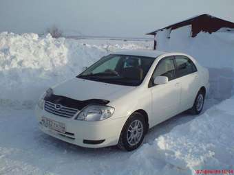 2003 Toyota Corolla