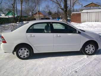 2003 Toyota Corolla Pictures