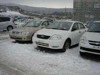 2003 Toyota Corolla For Sale