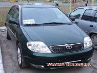 2003 Toyota Corolla Images