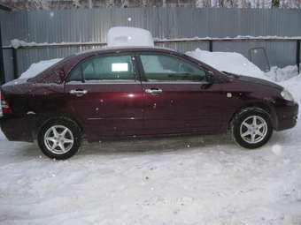 2003 Toyota Corolla Pictures