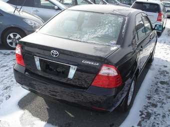 2003 Toyota Corolla Pictures