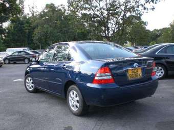 2003 Toyota Corolla Pics