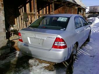 2003 Toyota Corolla Pictures