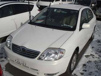 2003 Toyota Corolla Pictures