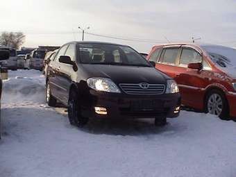 2003 Toyota Corolla Pictures