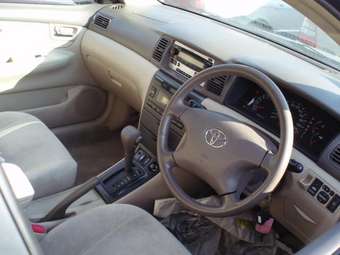 2003 Toyota Corolla Pictures