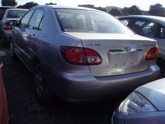 2003 Toyota Corolla Pictures