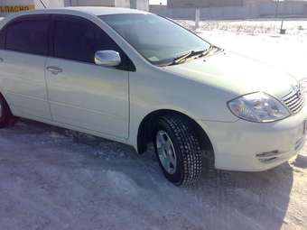 2003 Toyota Corolla Pictures