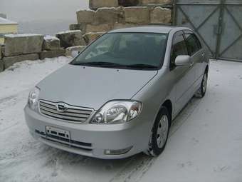 2003 Toyota Corolla Pictures