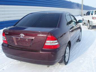 2003 Toyota Corolla Pics