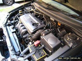 2003 Toyota Corolla Pics