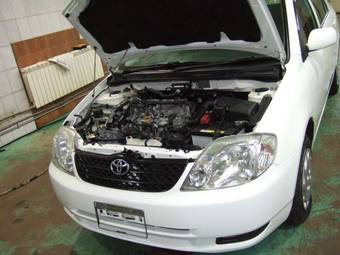2003 Toyota Corolla Pictures
