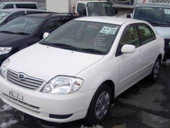 2003 Toyota Corolla Pics