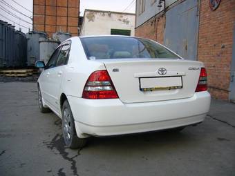 2003 Toyota Corolla Pictures