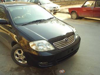 2003 Toyota Corolla Pics