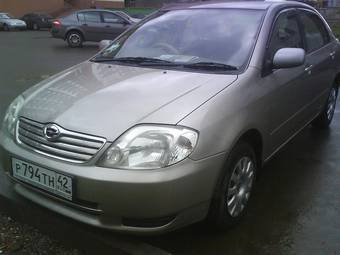 2003 Toyota Corolla Pictures