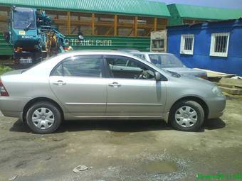2003 Toyota Corolla Pictures
