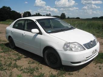 2003 Toyota Corolla Photos