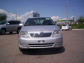 2003 Toyota Corolla Photos