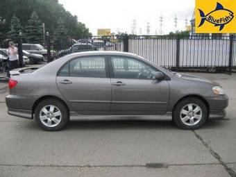 2003 Toyota Corolla Pics