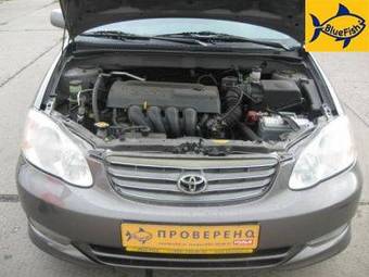 2003 Toyota Corolla Pictures